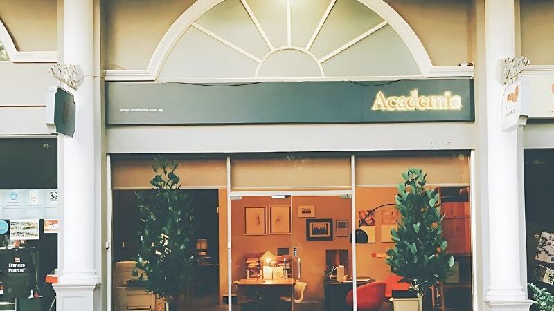 Academia