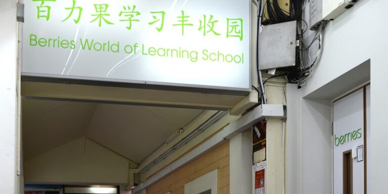 Berries World of Learning School (Bishan St 11)