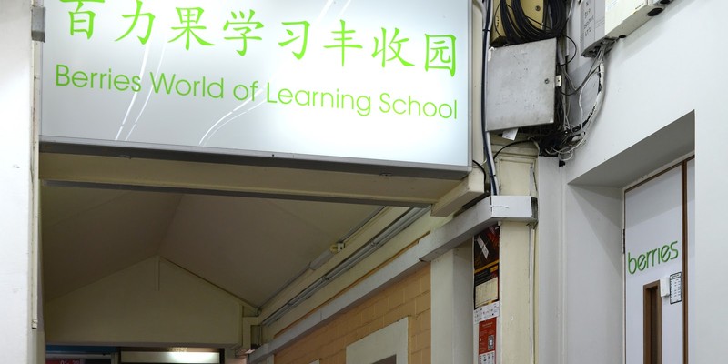 Berries World of Learning School (Bishan St 11)
