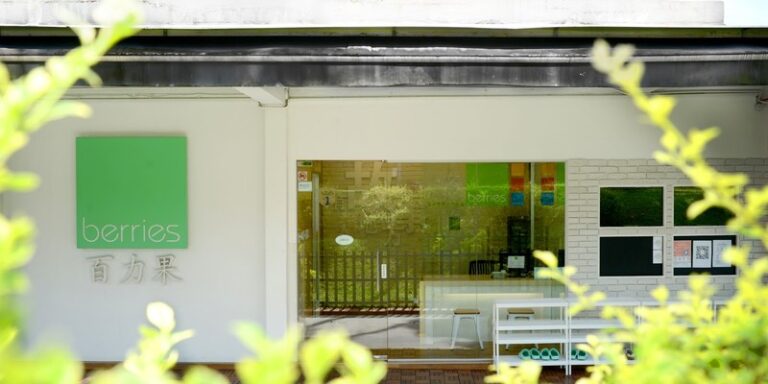 Berries World of Learning School (Bishan St 12)