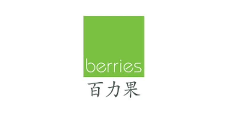 Berries World of Learning School (Bukit Batok)