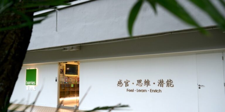 Berries World of Learning School (Clementi West)