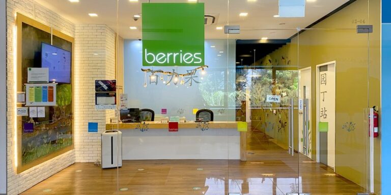 Berries World of Learning School (Toa Payoh)