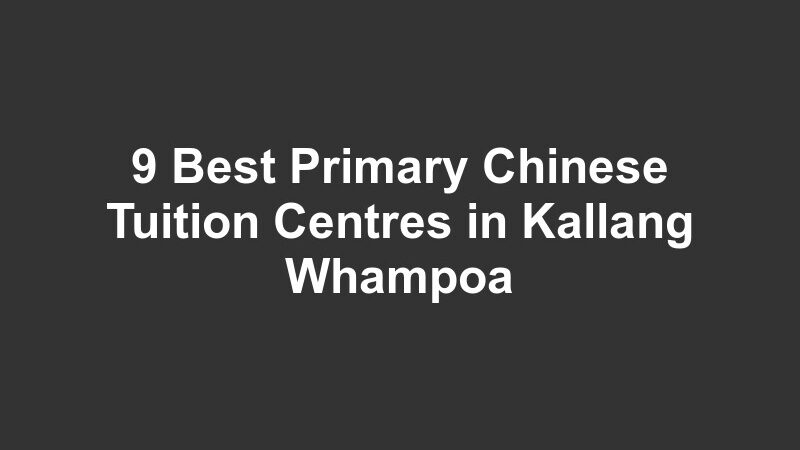 9 Best Primary Chinese Tuition Centres in Kallang Whampoa