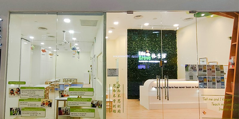 Edugrove Mandarin Enrichment Centre (AMK Hub)