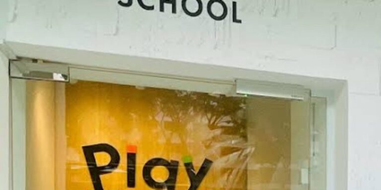 PlayFACTO School (Pioneer)