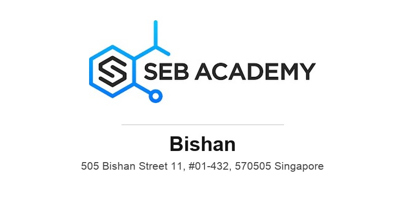 Seb Academy (Bishan)
