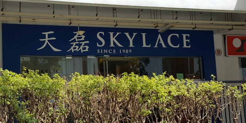 Skylace Language School