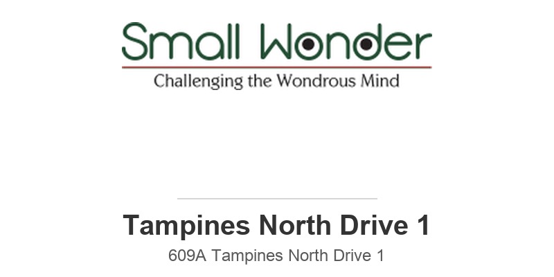Small Wonder Preschool Tampines North