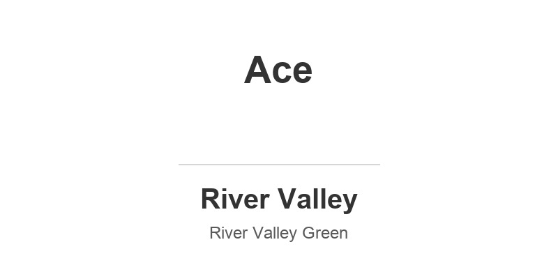 Ace @ Work Student Care (River Valley Primary School)