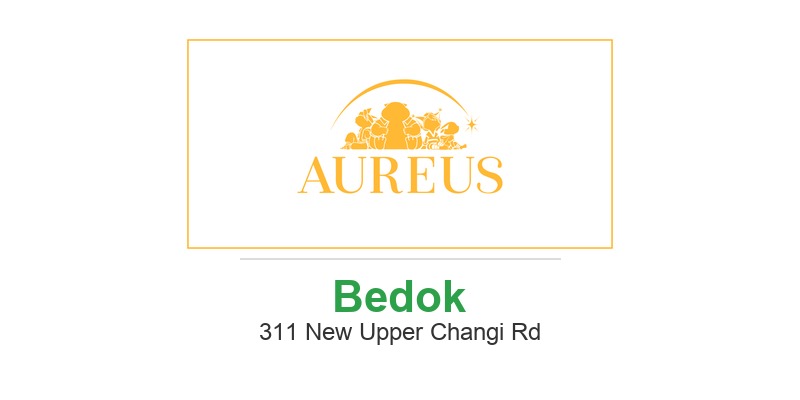 Aureus Academy (Bedok)