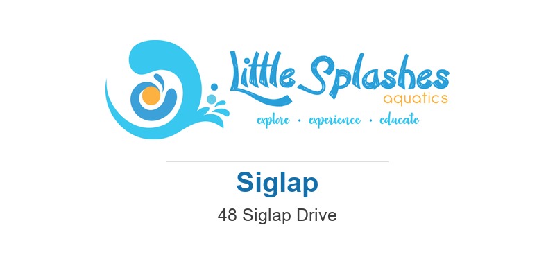 Little Splashes Aquatics (Siglap)