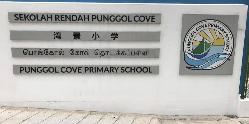 Nascans (Punggol Cove Primary School)