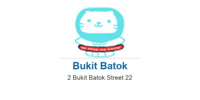 SG Sink Or Swim School (Bukit Batok)