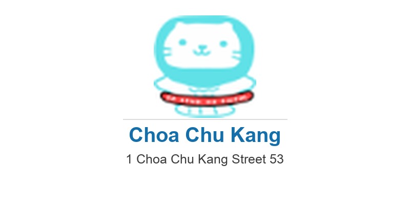 SG Sink Or Swim School (Choa Chu Kang)